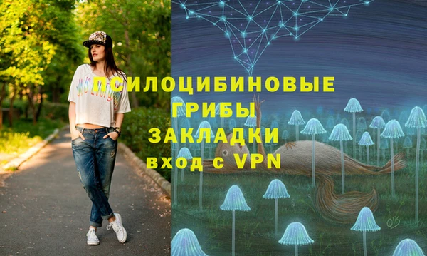 mdpv Краснослободск