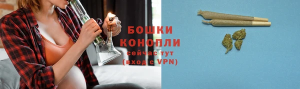 mdpv Краснослободск