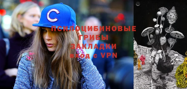 mdpv Краснослободск