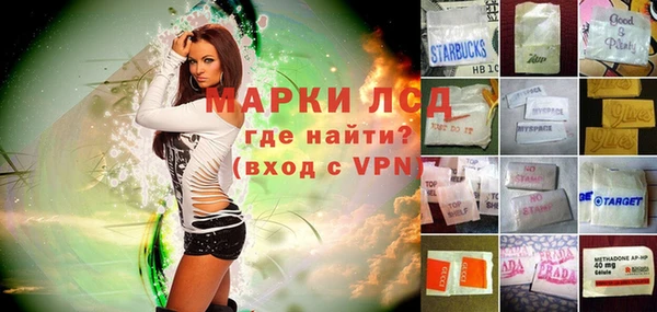 spice Новосибирск