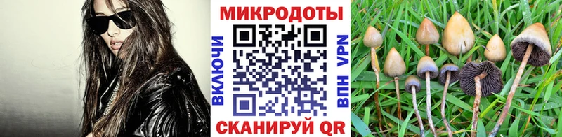 Псилоцибиновые грибы мухоморы Лесозаводск